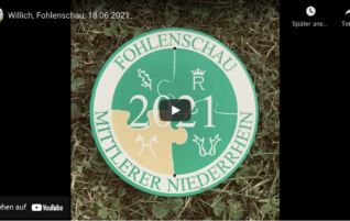 Das war die Fohlenschau 2021